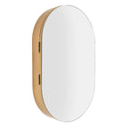 Fichiouy Bathroom Mirror Cabinet Oval Wall Mounted Cabinet Storage Cabinet with Mirror for Bathroom 19.76" x 30.82"