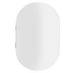 Fichiouy Bathroom Mirror Cabinet Oval Wall Mounted Cabinet Storage Cabinet with Mirror for Bathroom 19.76" x 30.82"