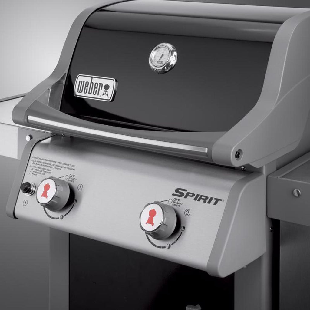 2 Burner Liquid Propane Grill Black