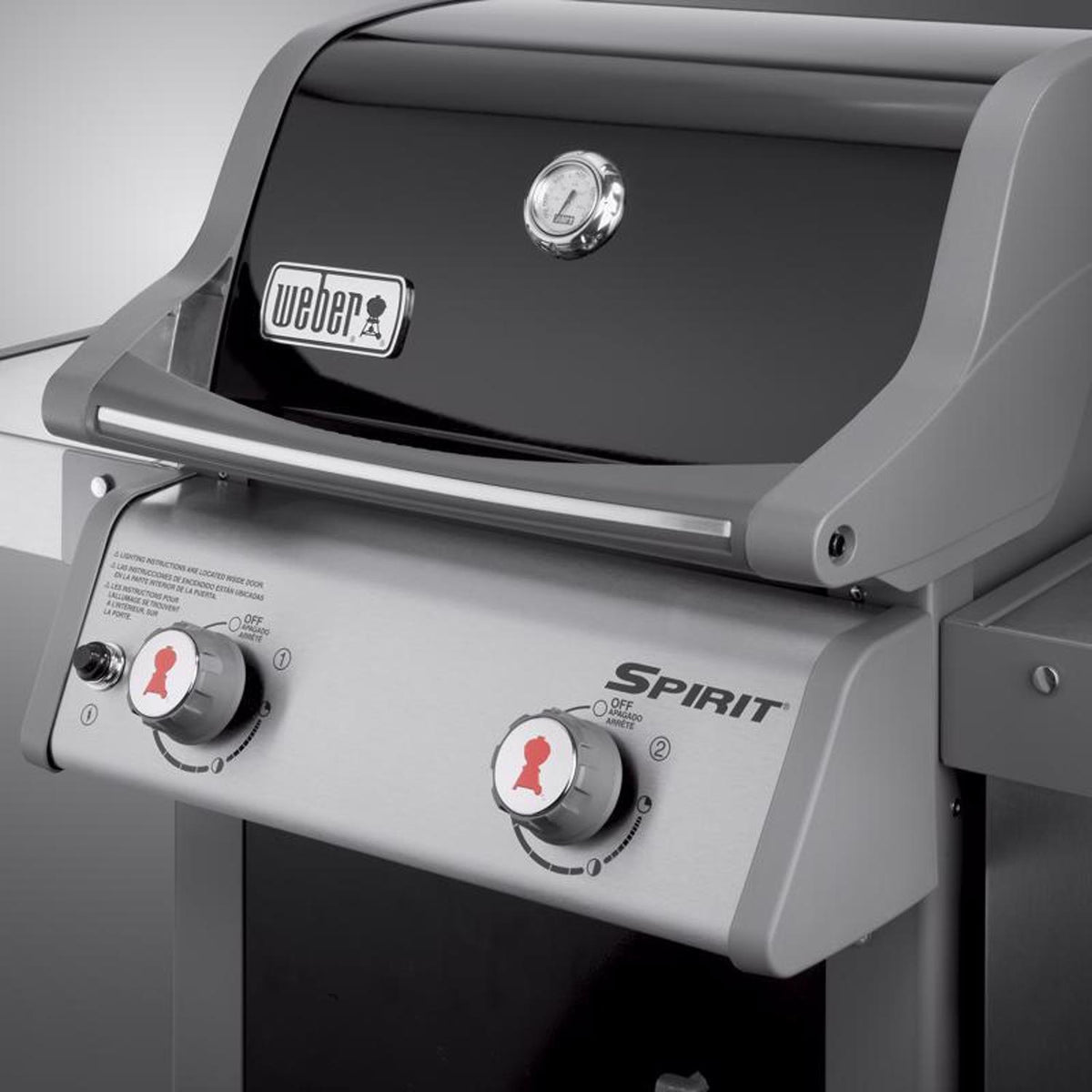 2 Burner Liquid Propane Grill Black