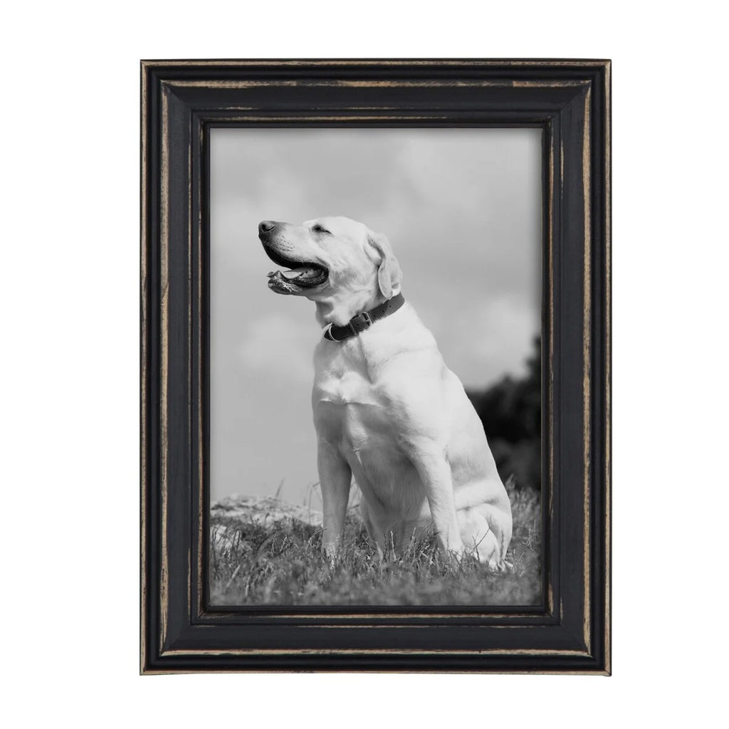 10-Piece Wood Gallery Wall Picture Frame Set, Decorative Photo Display Frames for Living Room, Bedroom and Home Decor