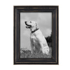 10-Piece Wood Gallery Wall Picture Frame Set, Decorative Photo Display Frames for Living Room, Bedroom and Home Decor