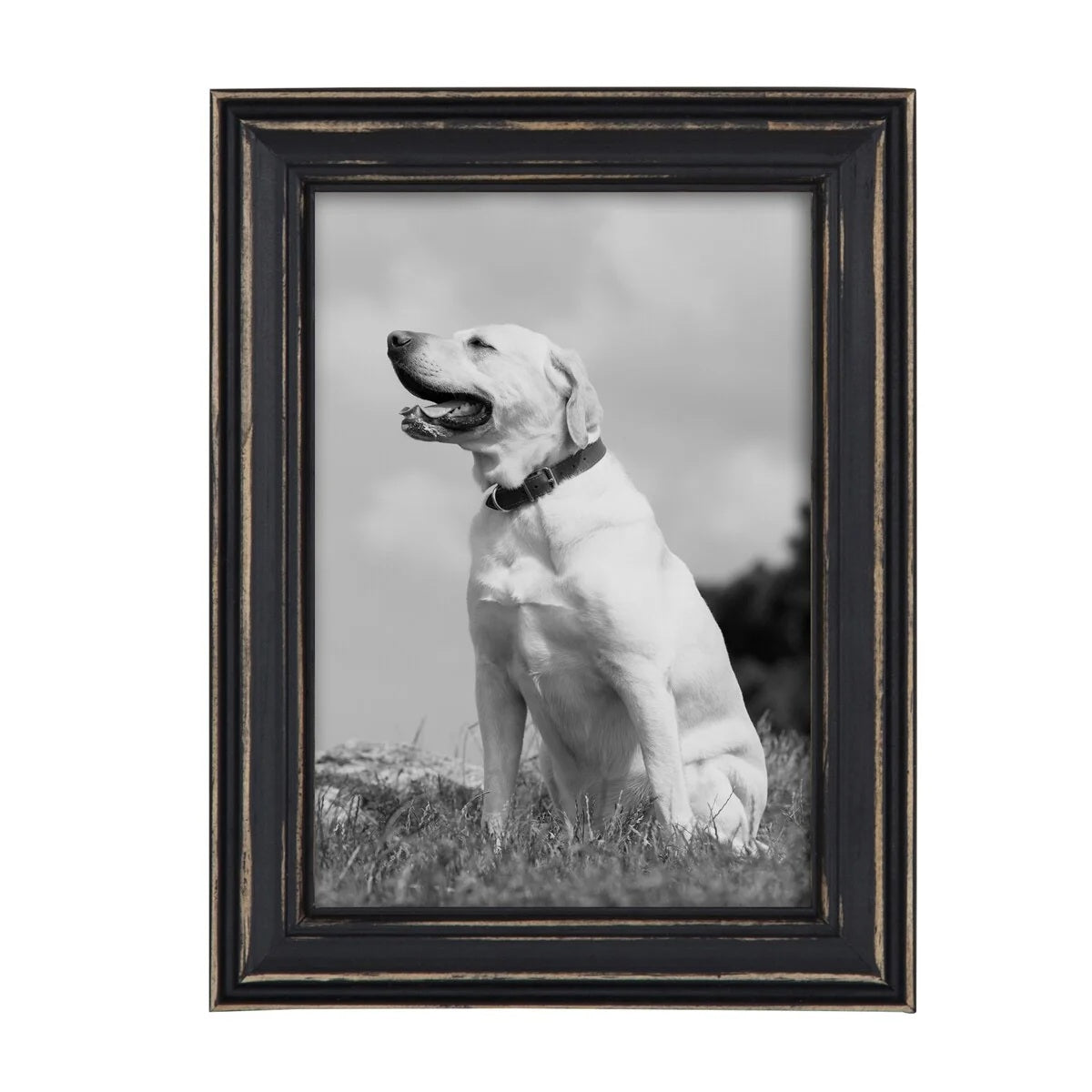 10-Piece Wood Gallery Wall Picture Frame Set, Decorative Photo Display Frames for Living Room, Bedroom and Home Decor