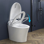 HOROW Tankless Toilet, Modern Smart Toilet without bidet, Self Cleaning One Piece Toilet with Warm Elongated Seat,Heated Toilet HR-T10SD