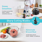 All-in-One Blender Food Processor, 10-in-1 Blenders for Kitchen