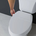 Mainstays Elongated Non-Electric Bidet Toilet Seat with Dual Self-Cleaning Nozzles, Daisy White
