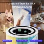 Air Purifier for Home, Compact Air Cleaner for Allergens, Dust, Pet Hair and Pet Dander